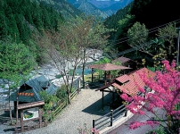 かずら橋キャンプ場/三好市西祖谷山村